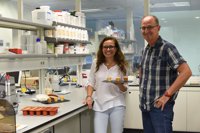 Crean el 'bizcocho del futuro': en spray y listo con un minuto al microondas