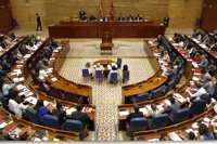 Diputados regionales defenderán en el Congreso el voto para discapacitados intelectuales