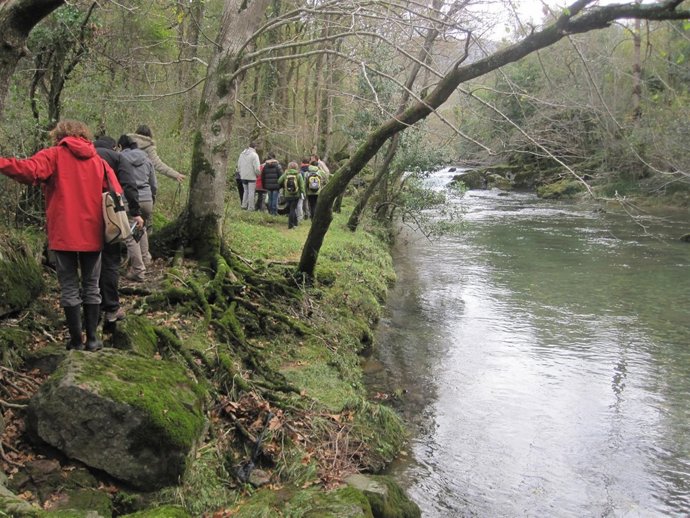 Formación de voluntariado                    