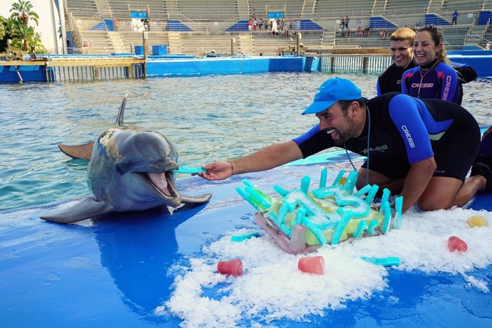 La primera cría de delfín nacida en el Oceanogràfic cumple 13 años