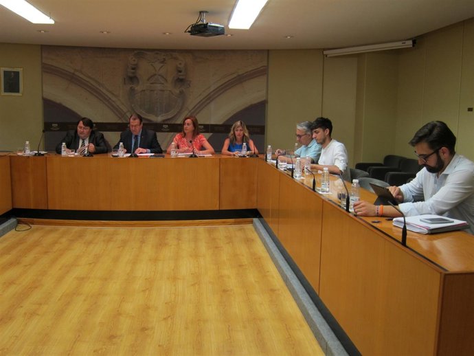                  Comparecencia Martínez Arregui              