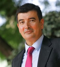 Giner a Ribó: "Llamar grotescas a las Fallas es insultar a todos los valencianos"