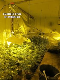 Tres detenidos por robar en la piscina de Torrejón de Velasco y tener plantas de marihuana en una casa okupa