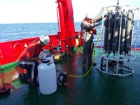 Una investigación liderada por la UA descubre los 44 virus "más abundantes" en los océanos del planeta