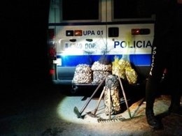 Foto del marisco incautado