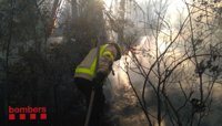 Los Bomberos actúan este viernes en cinco fuegos simultáneos de cultivos y bosque
