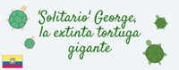 'Solitario' George, cinco años sin la tortuga símbolo de Galápagos