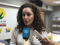 IULV-CA espera que la ley contra la Lgtbfobia sea "realidad" antes de final del año