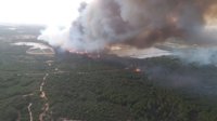 Declarado un incendio forestal en un paraje de Moguer (Huelva)