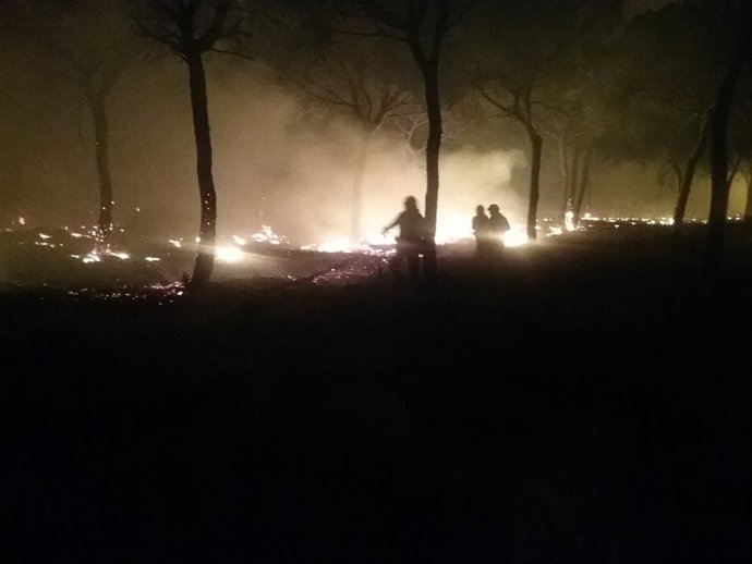 Incendi forestal en Moguer