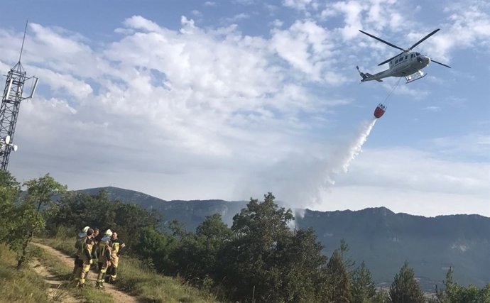 Declarado un incendio forestal cerca del embalse de Yesa.