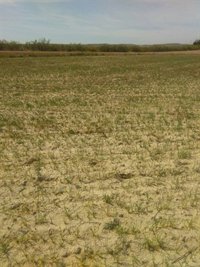 2017 es el año del siglo XXI con menos agua embalsada al comenzar el verano y el noveno desde hace 41 años