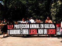 Animalistas tildan de "ley de desprotección" el anteproyecto de la Xunta y piden que incluya a todos los animales