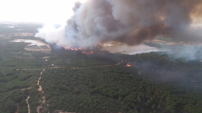 Incendi forestal a Moguer (Huelva)