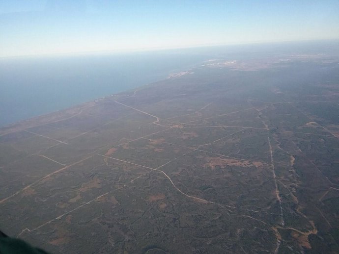 Focos perimetrados en el incendio de Moguer (Huelva)