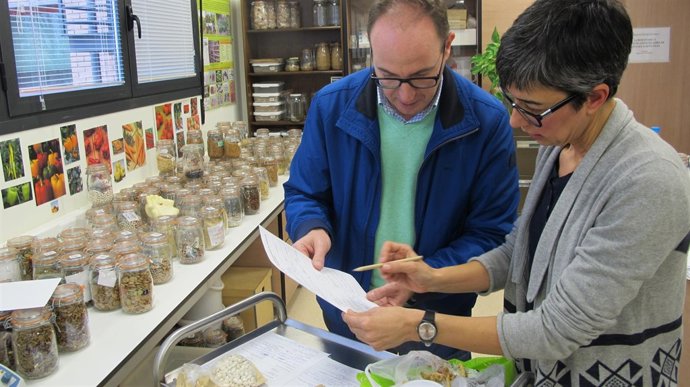 El CITA cuenta con 28 muestras de 'Garbanzos singulares de Aragón'