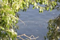 Medio Ambiente asegura, sobre el vertido en el Guadalquivir, que "el que contamina, paga"