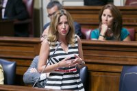 El Gobierno de Canarias destaca que las islas tienen ahora un REF del siglo XXI