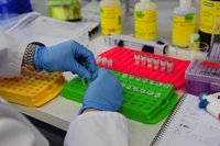 El BOA publica las subvenciones a institutos de investigación de la UZ por más de un millón de euros