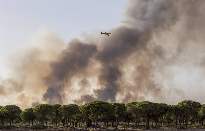 Imagen de este domingo del incendio declarado en Moguer (Huelva) 
