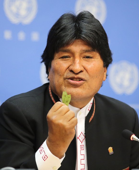 Morales coca