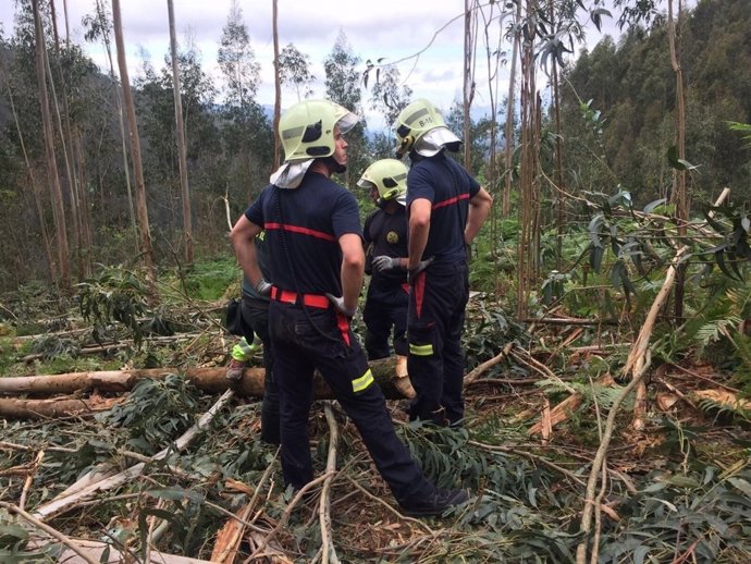 Rescate del cuerpo del trabajador forestal