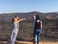 La pérdida de bosques por incendios puede provocar menos lluvias en el futuro y capturar menos CO2