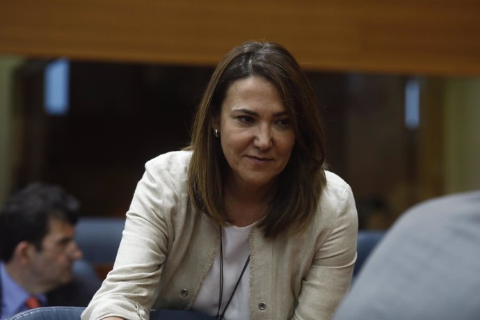 La diputada del PP en la Asamblea de Madrid, Isabel González