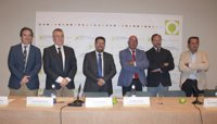 Andalucía exige al Gobierno que lleve a UE una propuesta que permita el almacenamiento colectivo de aceite de oliva