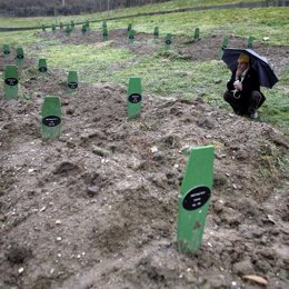 Un hombre reza en el cementerio de Potocari