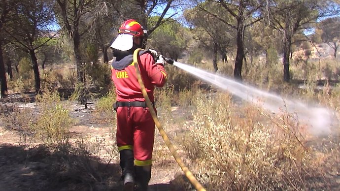 El incendio de Huelva evoluciona "muy bien"