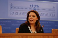 PP-A pide explicaciones al Gobierno andaluz por el nuevo nombramiento de De la Calle, "destituida hace dos días"