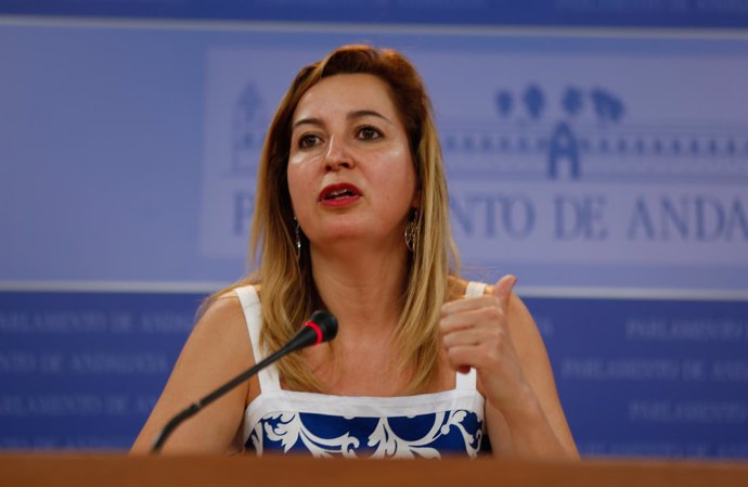 Carmen Lizárraga, hoy ante los medios