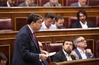 El PNV rechaza la visión "idílica" de la Transición y sólo acude al homenaje a los constituyentes "por respeto"