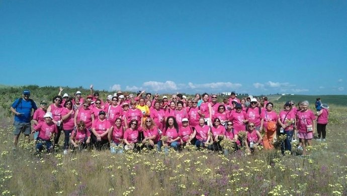 El Distrito Sanitario Aljarafe-Sevilla Norte celebra la IV Marcha por la Salud