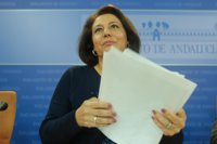 PP-A acusa a PSOE-A de pretender reformar la RTVA "dejando todo igual"