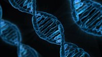 Un nuevo método detecta más rápido mutaciones en un gen relacionado con el cáncer de colon