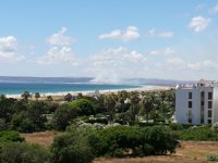 Controlado el incendio en el Parque de La Breña (Cádiz)
