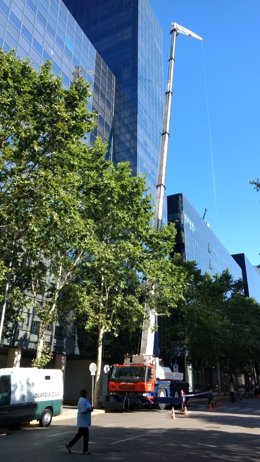 Una grua treballant en els jutjats de Sabadell