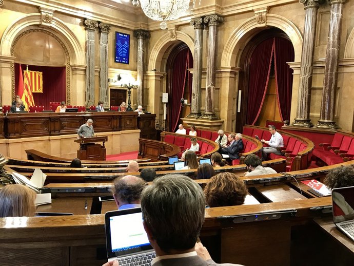 Ple del Parlament