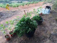 La Guardia Civil detiene a una persona por tráfico de drogas en Minglanilla (Cuenca)