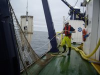 La campaña Bioman 2017 estima una biomasa de en torno a 85.000 toneladas de anchoa en el golfo de Vizcaya