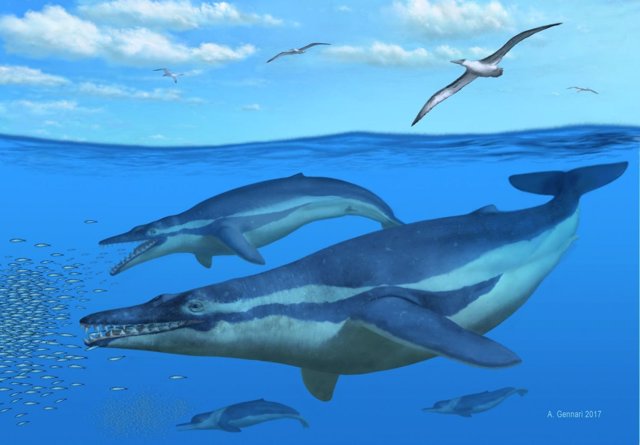 Ballenas en el comienzo de su evolución