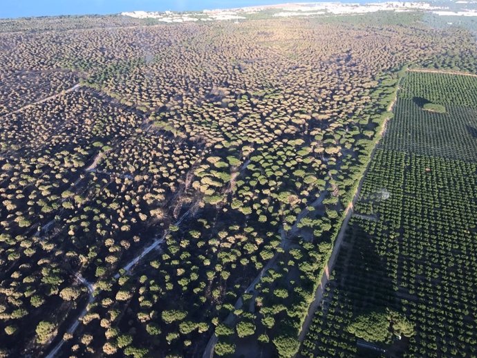 Imagen aérea de la zona afectada por el incendio de Moguer