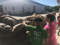 La Junta de Extremadura incide en su apuesta para que la dehesa sea reconocida como Patrimonio de la Humanidad