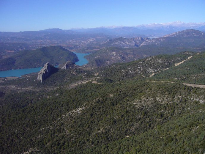 Cortafuegos en Puy de Cinca