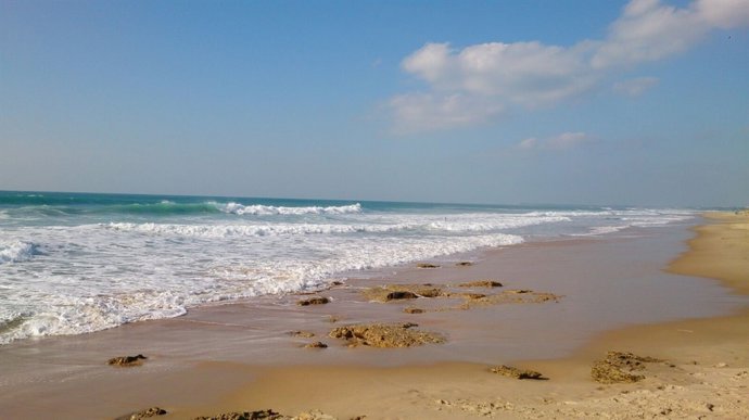 Playa de El Palmar (Cádiz)