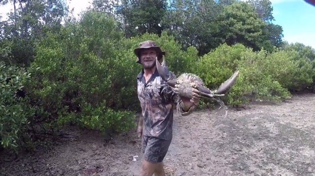 Australiano muestra enorme cangrejo