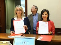 El PSOE propone limitar las prórrogas de enmiendas en el Congreso para evitar bloqueos de leyes