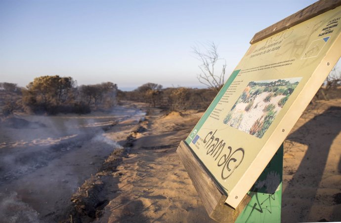 Incendio en el parque natural de Doñana (Huelva)